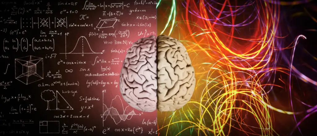 Gehirnhälften zwischen Formeln und Farbspuren – Neurowissenschaft trifft kreatives Webdesign